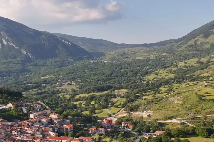 Come rendere i boschi del Matese più resilienti?